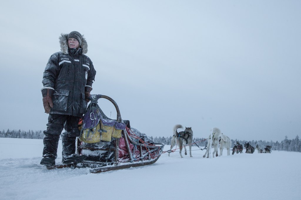 A team of huskies on a multi-day tour in Lapland, Finland from Harriniva Hotels & Safaris