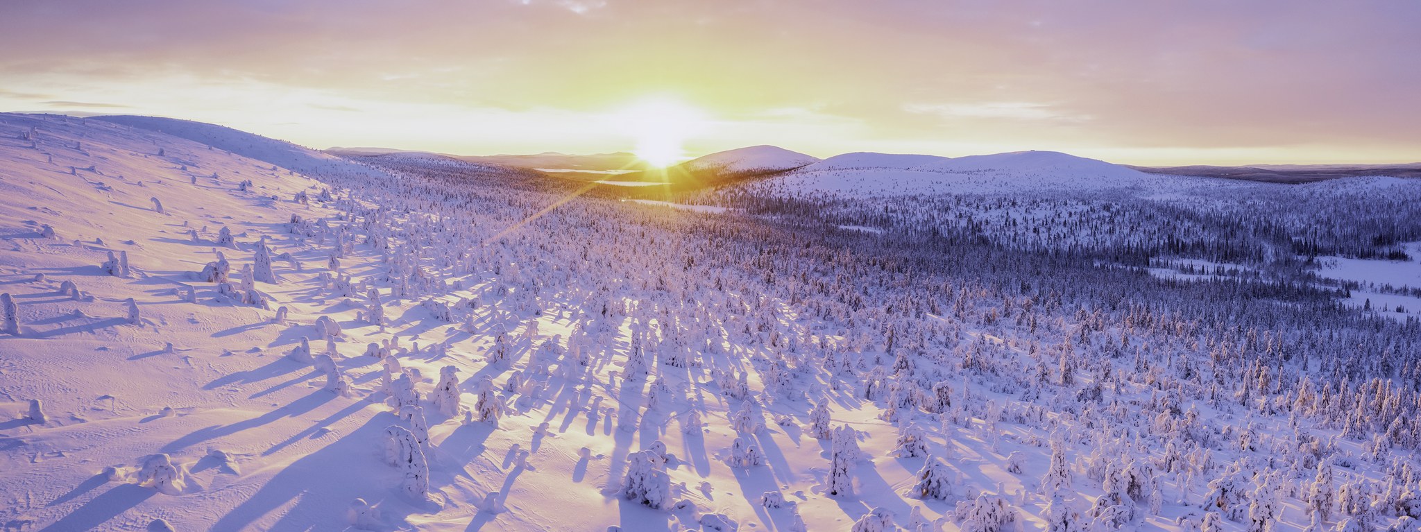 Wintery Landscape from Lapland offer page