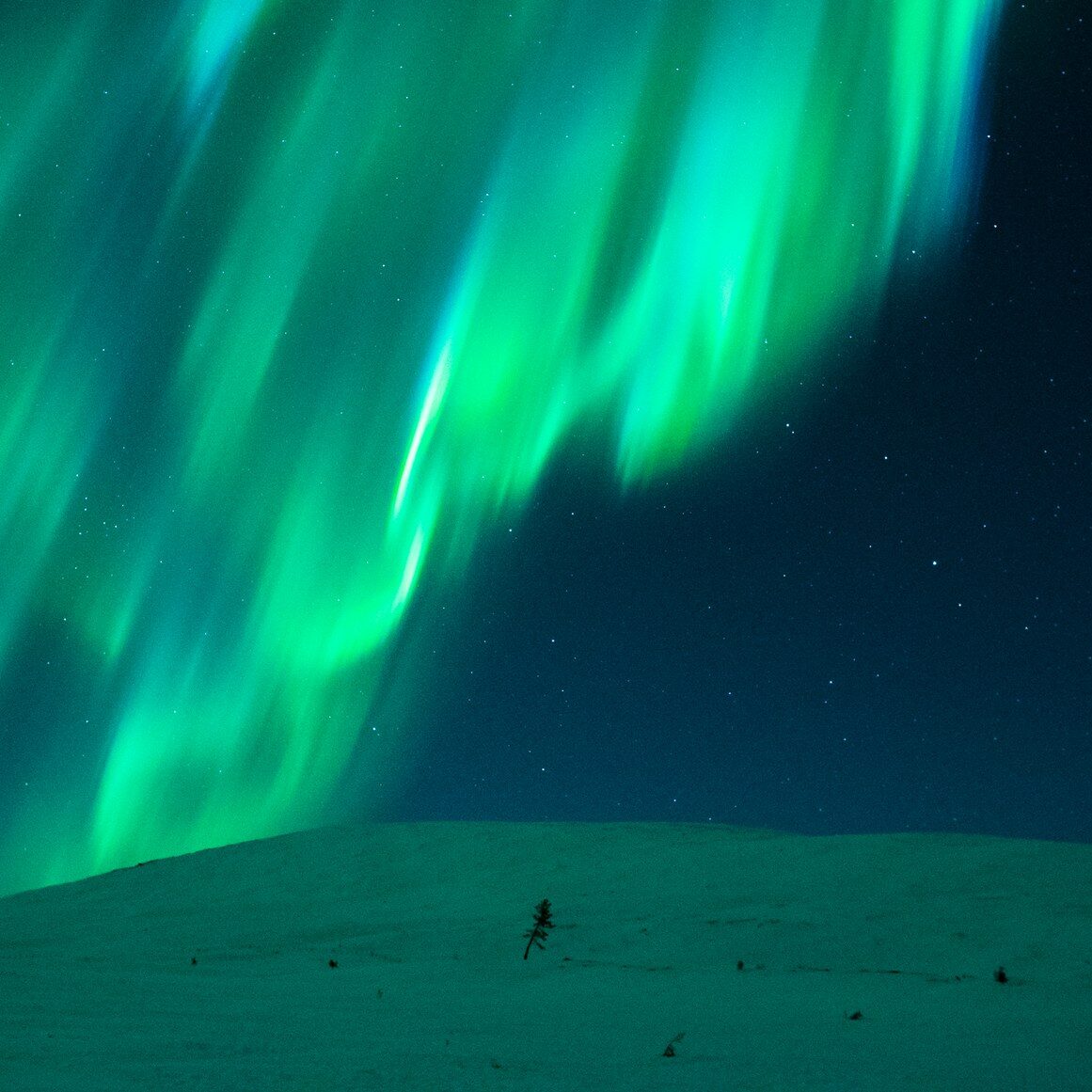A stunning view of the aurora borealis illuminating snow-covered mountains under a starry night sky in Muonio, Finnish Lapland