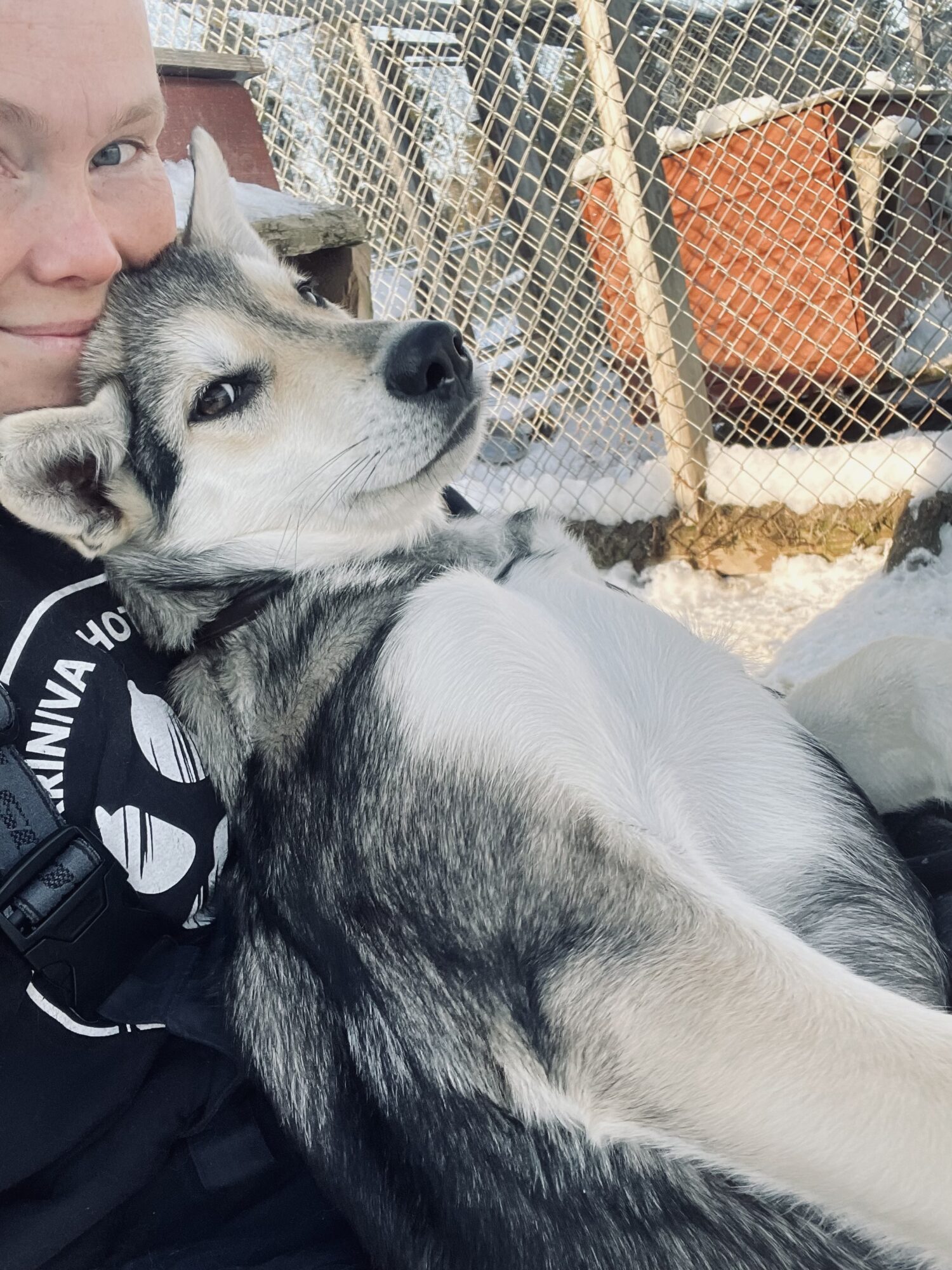 A husky farm guide sits comfortably with a husky puppy nestled in her lap, enjoying a cozy moment together in Arctic sleddog centre, Finnish Lapland