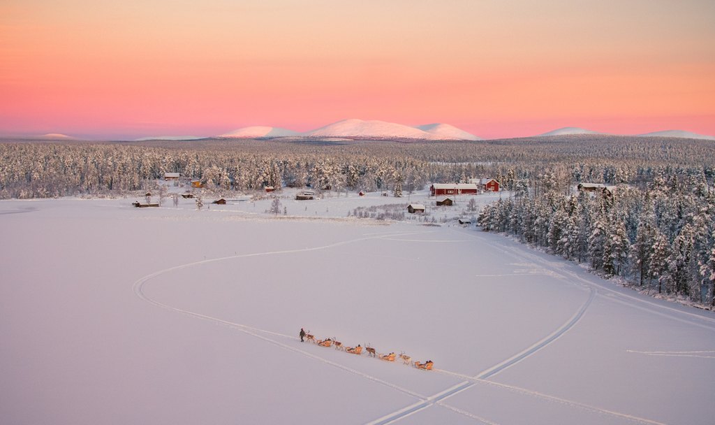 Reindeer tour walking on a frozen lake with Pallas fells in the background bathing in polar night colours showcasing the beatiful scenery of Torassieppi reindeer farm in finnish Lapland