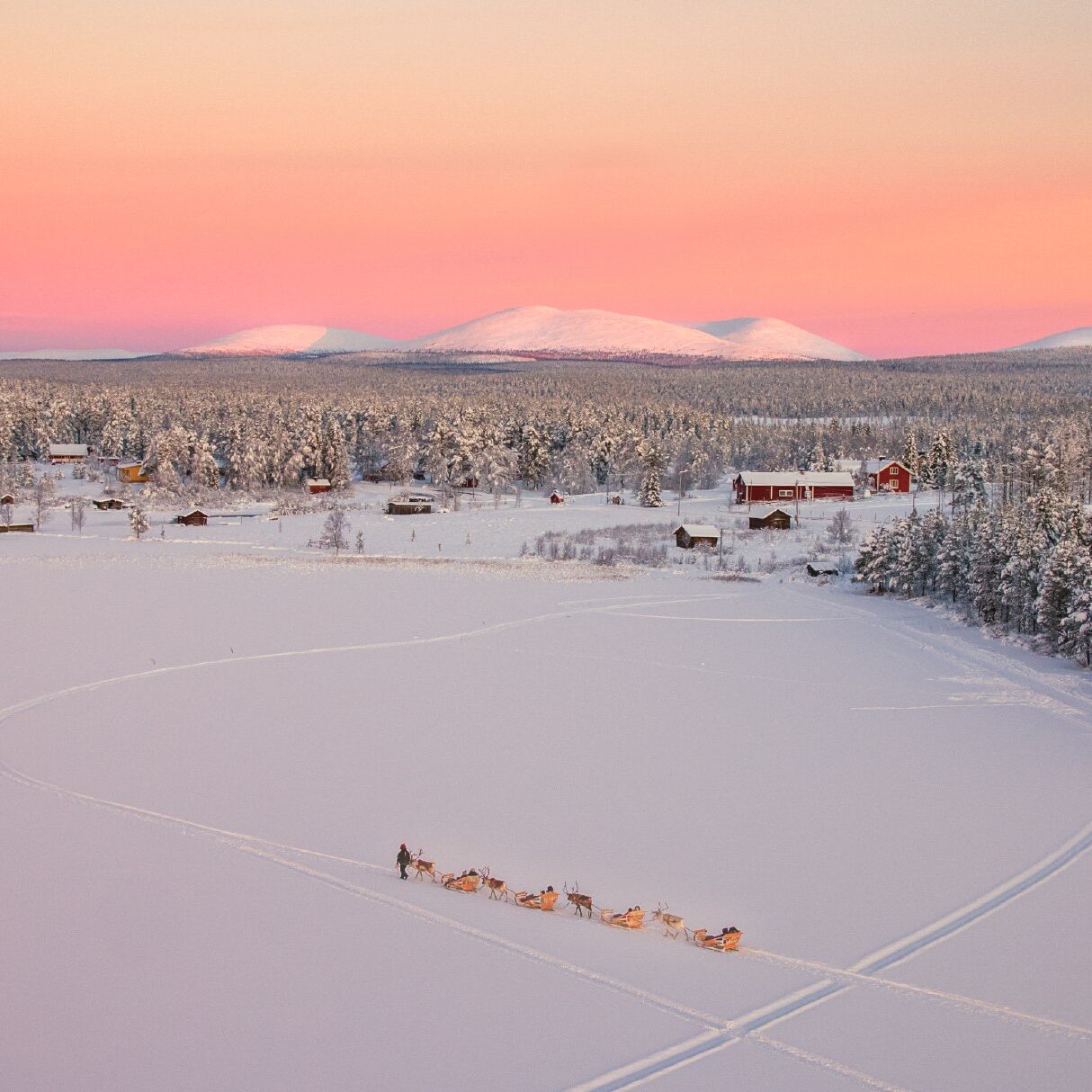 Reindeer sleigh tour walking on a frozen lake with pastel tones in the sky and lappish fells in the horizon