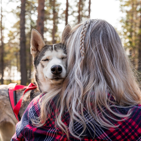 Visit Harriniva husky farm at Harriniva adventure resort, Lapland, Finland