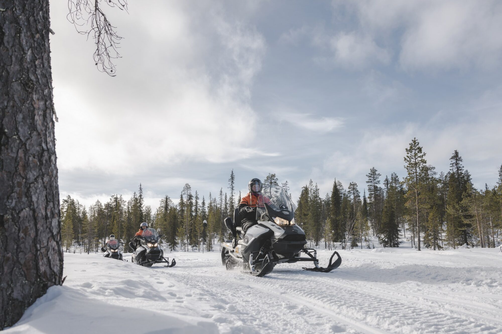 Snowmobile tour drives through a forest in Finnish Lapland