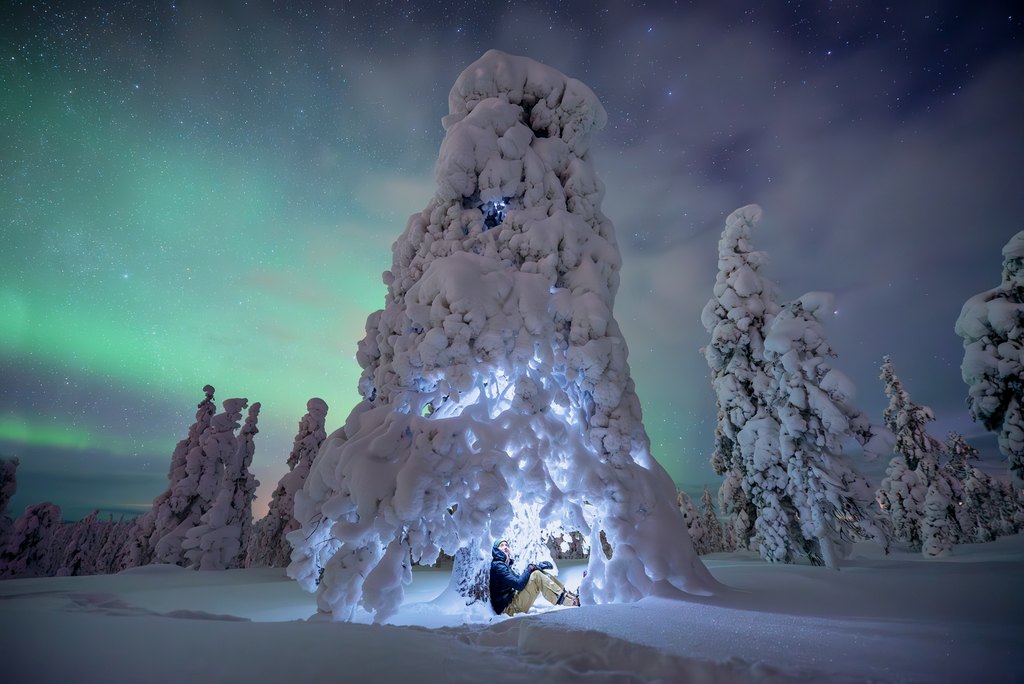 Person sits under a snow covered tree with torch on admiring the dancing northern lights at Harriniva Hotels & Safaris in Lapland, Finland