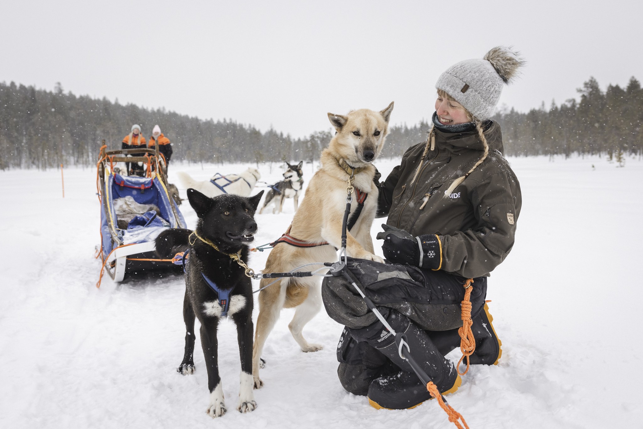 Wilderness Adventure with huskies - Harriniva Hotels & Safaris
