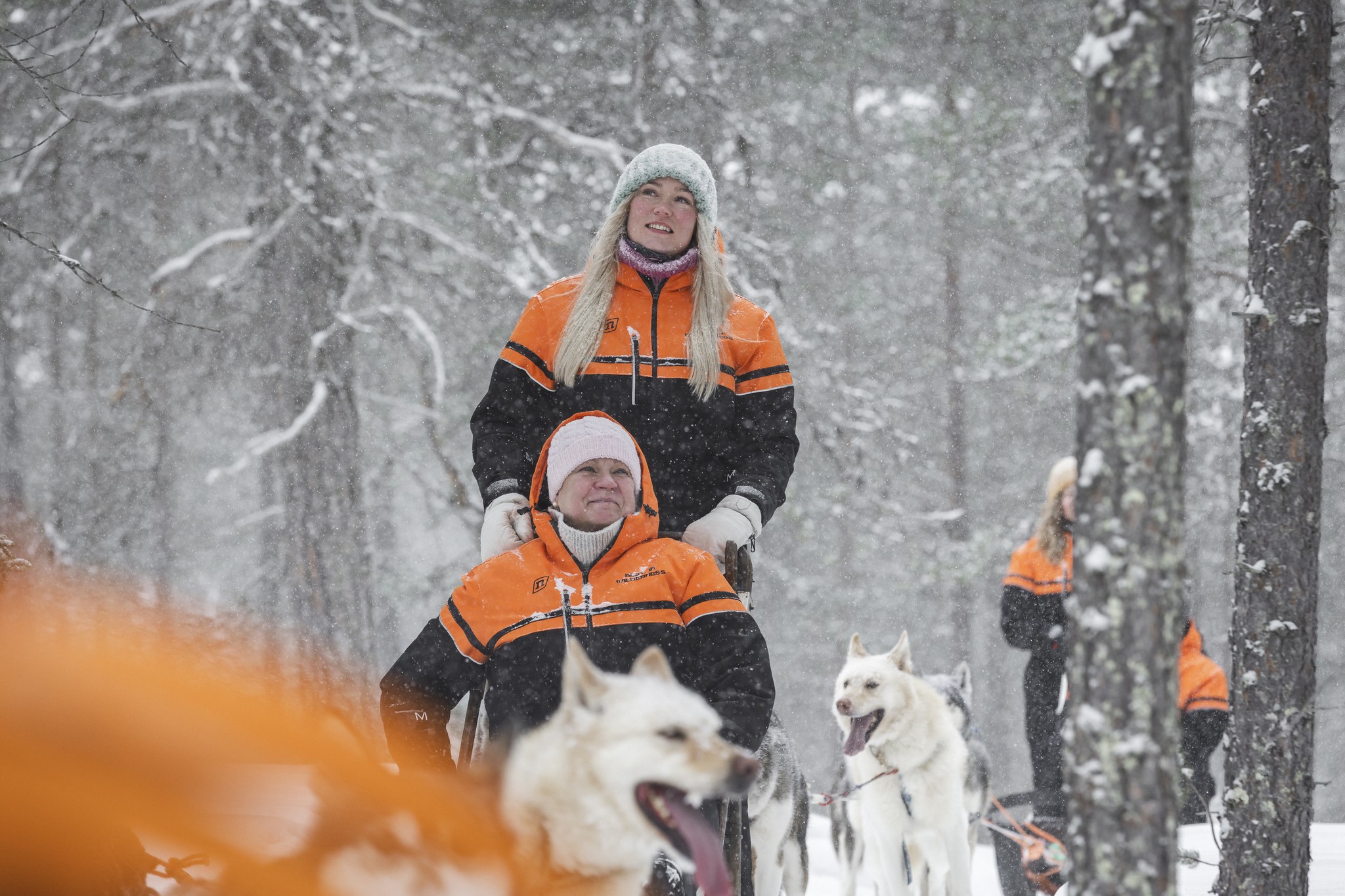 Magical husky tour through wintery forest in Lapland Finland by Harriniva Hotels & Safaris