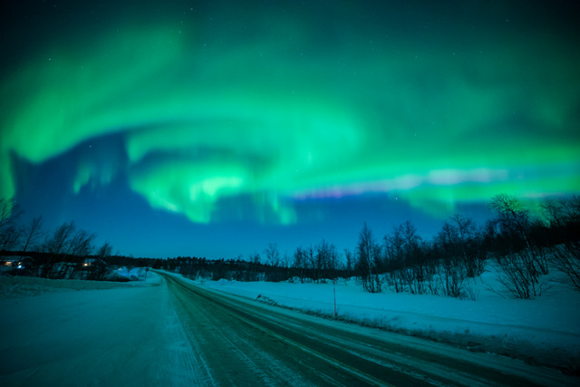 FI: Harriniva Hotels & Safaris Aurora Christmas Adventure Muonio, Lappi -loma all inclusive – Aurora Excursion by Car: revontulet hehkuvat vihreänä aaltona tähtitaivaalla lumisen tien yllä, kun auton retki vie hiljaisen arktisen maiseman halki kohti parhaita revontulipaikkoja.
EN: Harriniva Hotels & Safaris Aurora Christmas Adventure all-inclusive holiday package in Muonio, Lapland – Aurora Excursion by Car: vivid green Northern Lights swirl across a starry sky above a snow-lined road, as a car excursion travels through the quiet Arctic landscape to the best aurora viewing spots.