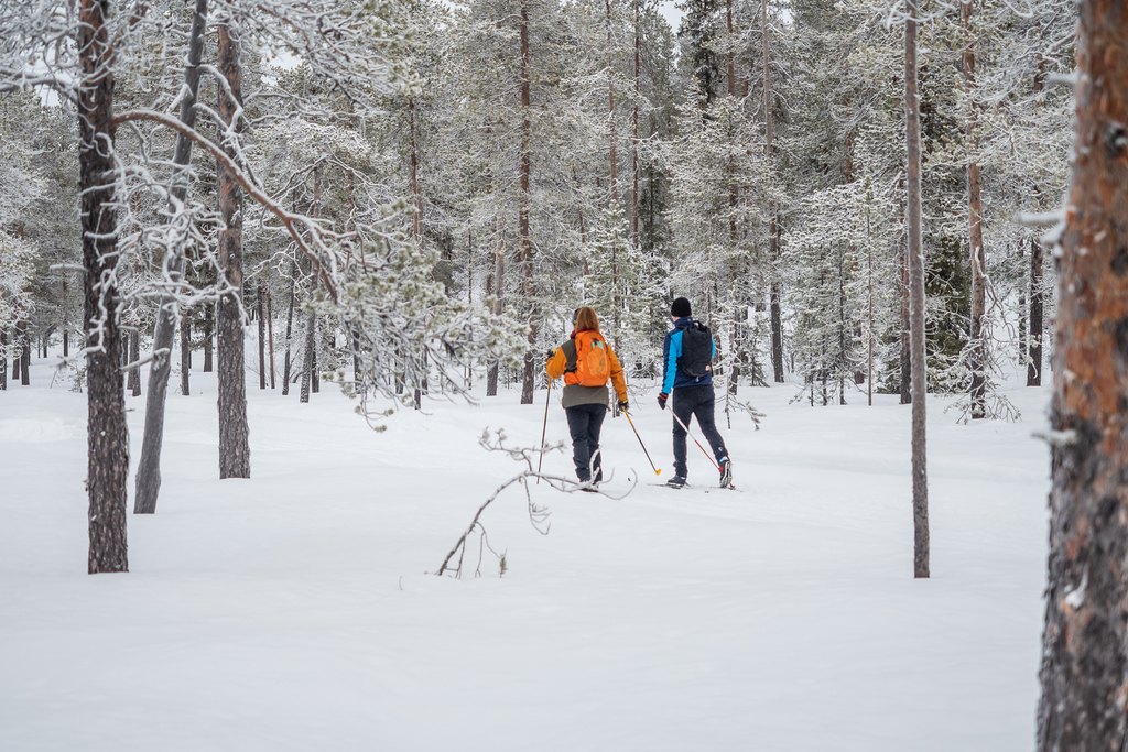 Kaksi hiihtäjää nauttimassa rauhallisesta maastohiihdosta lumisessa Lapin metsässä Muoniossa. Talvinen luonto ja huurteiset puut luovat aidon Lapin tunnelman Harriniva Hotels & Safaris -elämyksissä, joissa maastohiihto yhdistyy puhtaaseen luontoon ja hiljaisuuteen.

Two cross-country skiers gliding through a snowy forest in Lapland, Muonio. Frost-covered trees and untouched winter nature create an authentic Arctic atmosphere, showcasing cross-country skiing experiences with Harriniva Hotels & Safaris in the heart of Finnish Lapland.
