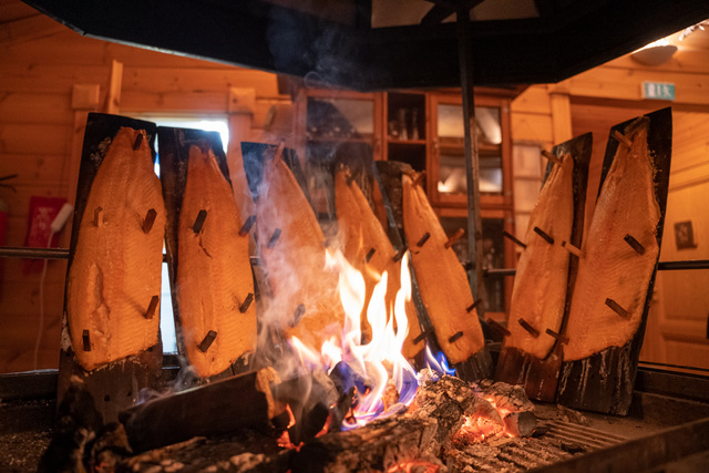 Harriniva-Hotels-and-safaris-aurora-campfire-Authentic-Lapland-Adventure-Muonio-Lapland