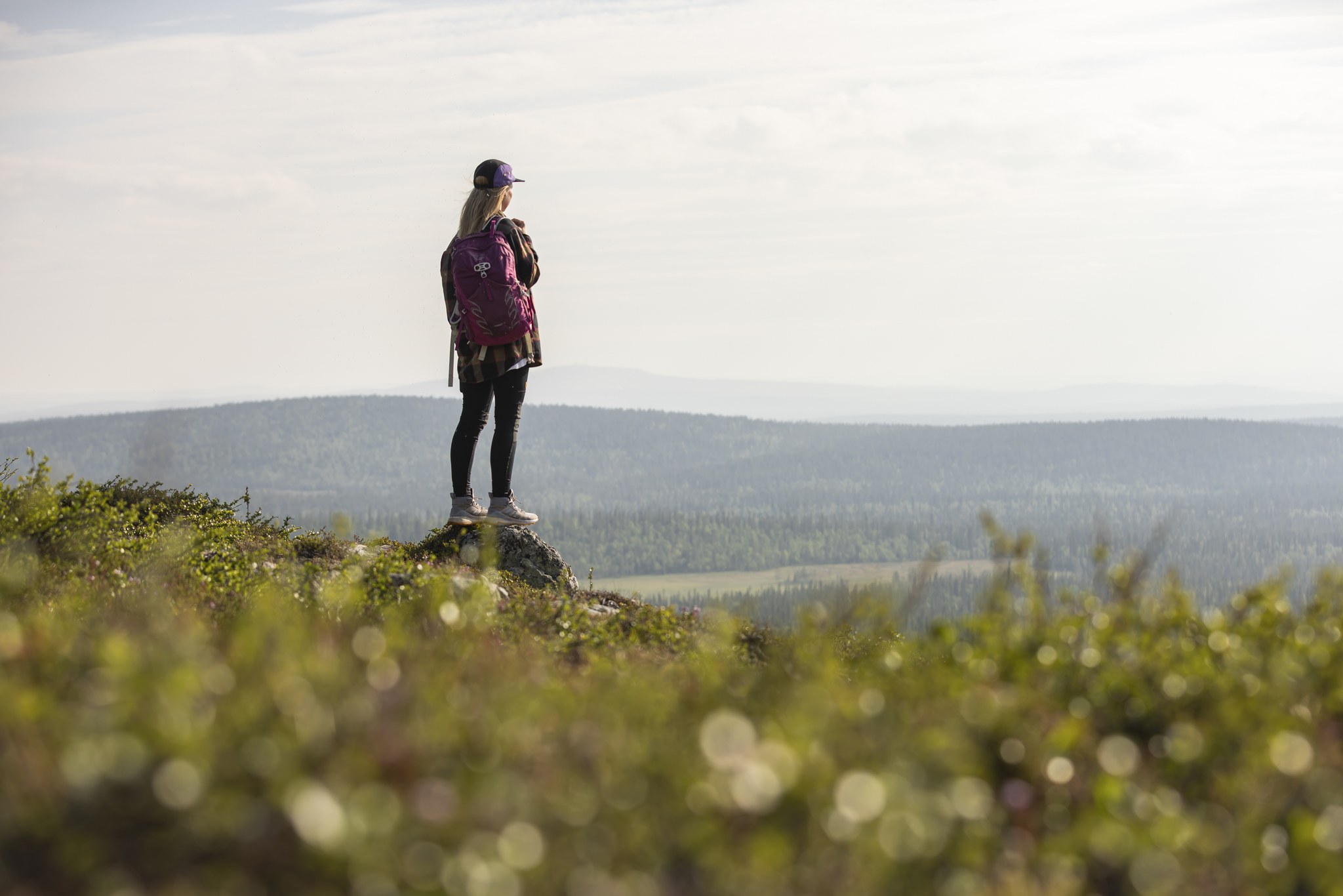 Hiker standing on a Lappish fell admiring the summer landscape in Muonio, Finland
