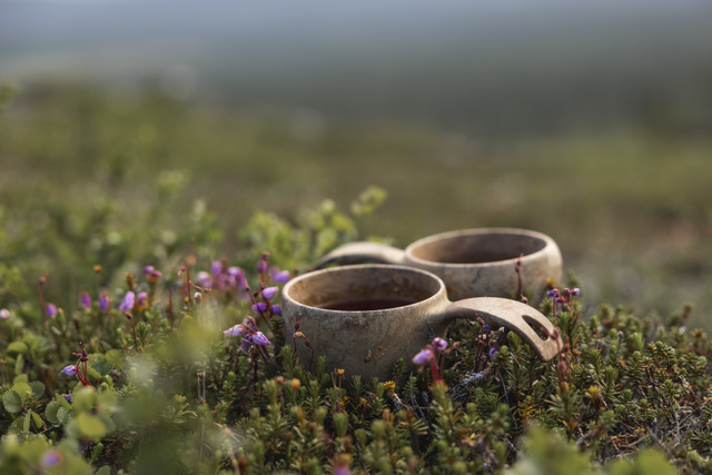 FI: Kaksi kuksaa lepäävät tunturikasvillisuuden keskellä Lapin kesässä, ympärillä pieniä kukkia ja pehmeä iltavalo. Harriniva Hotels & Safarisin Midnight Sun Explorer All-Inclusive Holiday Package tuo kesään Lapissa luonnon rauhaa, yöttömän yön tunnelmaa ja elämyksiä tunturimaisemissa.
EN: Two traditional wooden kuksa cups rest among fell vegetation in the Lapland summer, surrounded by small flowers and soft evening light. Harriniva Hotels & Safaris’ Midnight Sun Explorer All-Inclusive Holiday Package captures summer in Lapland with peaceful nature, midnight sun atmosphere, and memorable fell experiences.